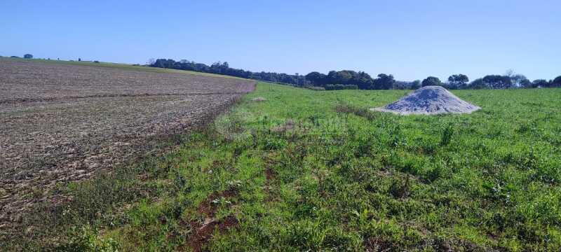 Foto 10 de 11: Imóvel em leilão em Santo Ângelo - RS — LOTE 004 4,10 hectares em Comandaí, Santo Ângelo/RS