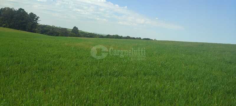 Foto 2 de 6: Casa em leilão em Jóia - RS — LOTE 002 Uma fração de terras c/área de 29ha, sita no lugar denominado RINCÃO DOS PIRES - JÓIA/RS -