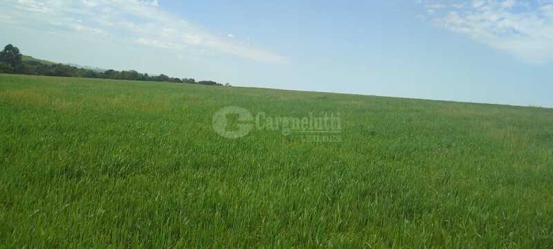 Foto 4 de 6: Casa em leilão em Jóia - RS — LOTE 002 Uma fração de terras c/área de 29ha, sita no lugar denominado RINCÃO DOS PIRES - JÓIA/RS -