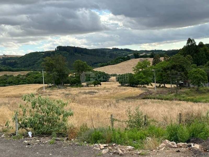 Foto 1 de 6: Area Rural em leilão em Soledade - RS — LOTE 001 A parte de terras rurais no lugar denominado “Espraiado”, c/área de 63.000m², sobre o imóve