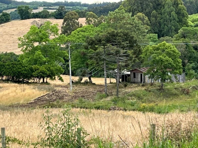 Foto 3 de 6: Area Rural em leilão em Soledade - RS — LOTE 001 A parte de terras rurais no lugar denominado “Espraiado”, c/área de 63.000m², sobre o imóve