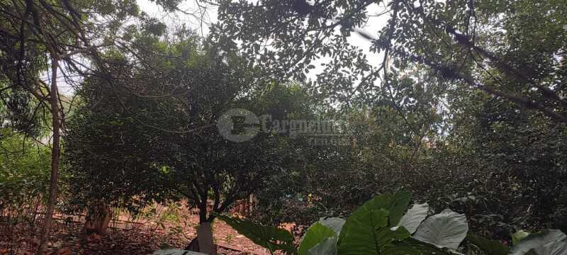 Foto 3 de 4: Terreno em leilão em Santo Ângelo - RS — LOTE 001 Um lote nº 15 , c/área superficial de 390m², rua São Pedro - SANTO ÂNGELO/RS