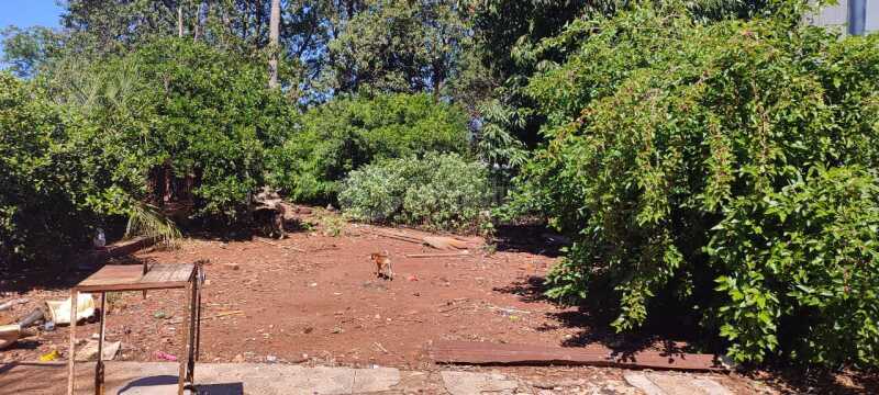 Foto 7 de 11: Terreno em leilão em Santo Ângelo - RS — LOTE 001 Um lote nº 15 , c/área superficial de 390m², rua São Pedro - SANTO ÂNGELO/RS