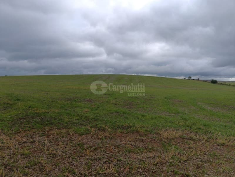 Foto 2 de 8: Terreno em leilão em Júlio De Castilhos - RS — LOTE 005 Fração de terras de campo, sem benfeitorias, com área de 29ha 3.970m², situada no distrito