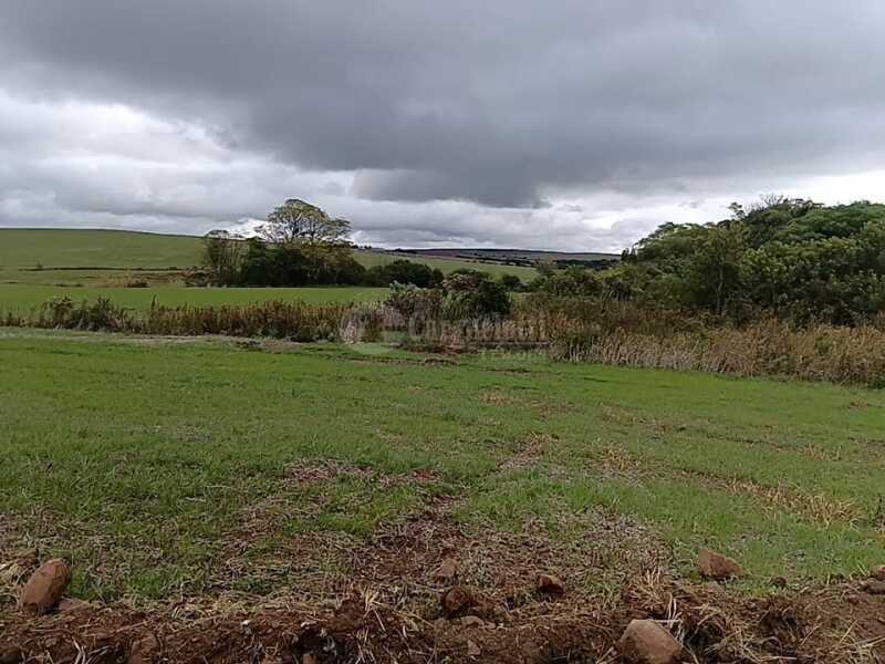 Foto 3 de 8: Terreno em leilão em Júlio De Castilhos - RS — LOTE 005 Fração de terras de campo, sem benfeitorias, com área de 29ha 3.970m², situada no distrito