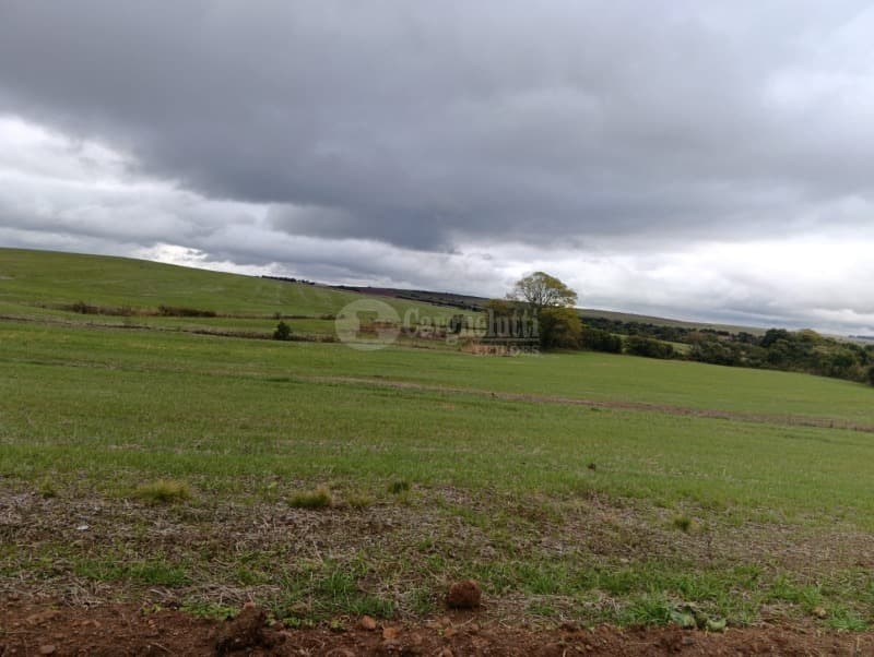 Foto 4 de 8: Terreno em leilão em Júlio De Castilhos - RS — LOTE 005 Fração de terras de campo, sem benfeitorias, com área de 29ha 3.970m², situada no distrito