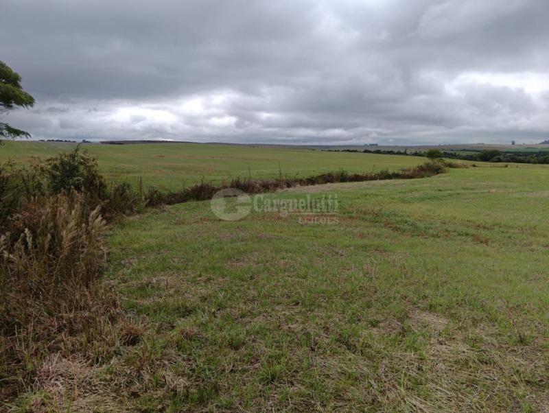 Foto 5 de 8: Terreno em leilão em Júlio De Castilhos - RS — LOTE 005 Fração de terras de campo, sem benfeitorias, com área de 29ha 3.970m², situada no distrito