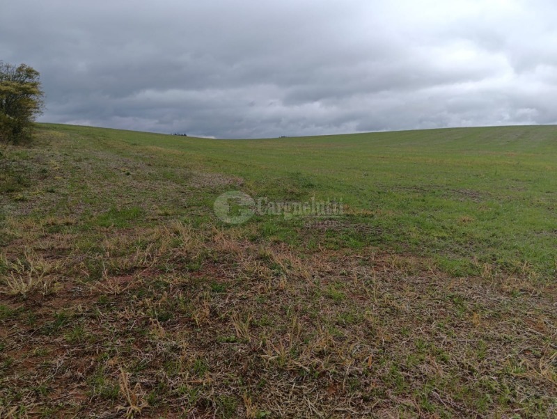 Foto 6 de 8: Terreno em leilão em Júlio De Castilhos - RS — LOTE 005 Fração de terras de campo, sem benfeitorias, com área de 29ha 3.970m², situada no distrito