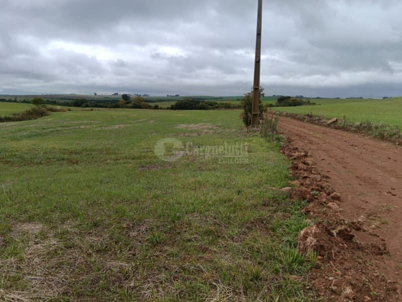 Foto 7 de 8: Terreno em leilão em Júlio De Castilhos - RS — LOTE 005 Fração de terras de campo, sem benfeitorias, com área de 29ha 3.970m², situada no distrito