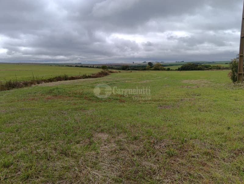 Foto 8 de 8: Terreno em leilão em Júlio De Castilhos - RS — LOTE 005 Fração de terras de campo, sem benfeitorias, com área de 29ha 3.970m², situada no distrito