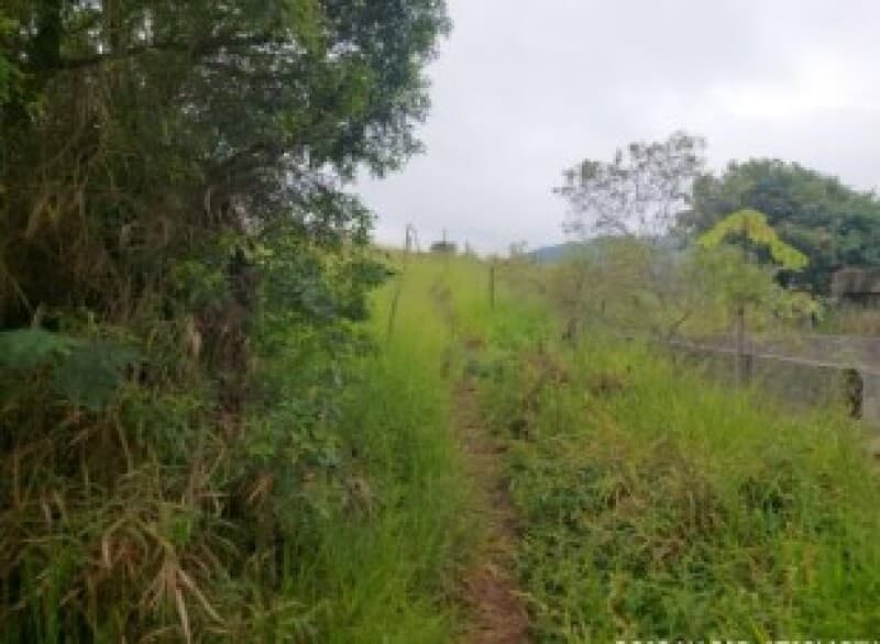 Foto 6 de 9: Terreno em leilão em São Roque - SP — LOTE 002 Terreno urbano com ou sem benfeitorias