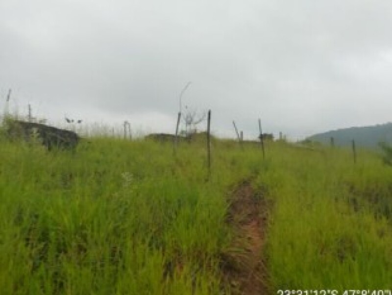 Foto 7 de 9: Terreno em leilão em São Roque - SP — LOTE 002 Terreno urbano com ou sem benfeitorias