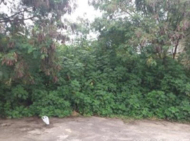 Foto 1 de 8: Terreno em leilão em São Roque - SP — LOTE 003 Terreno urbano com ou sem benfeitorias