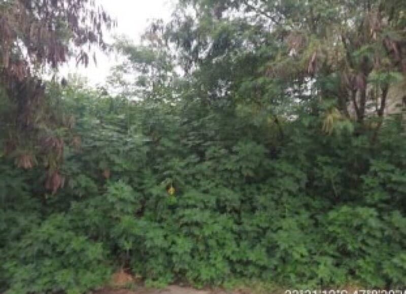 Foto 5 de 8: Terreno em leilão em São Roque - SP — LOTE 003 Terreno urbano com ou sem benfeitorias