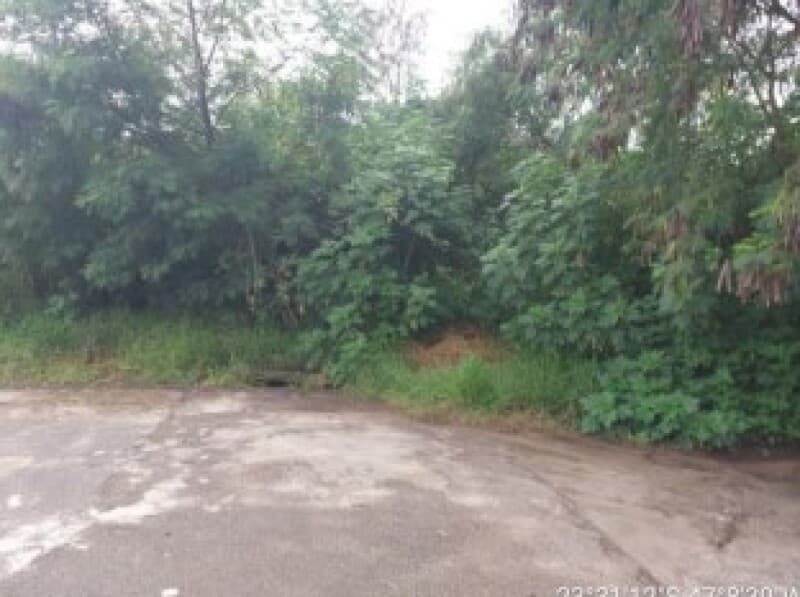Foto 7 de 8: Terreno em leilão em São Roque - SP — LOTE 003 Terreno urbano com ou sem benfeitorias