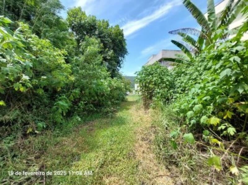 Foto 4 de 6: Terreno em leilão em São Roque - SP — LOTE 007 Terreno urbano com ou sem benfeitorias