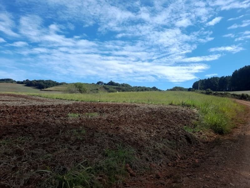 Foto 1 de 24: Imóvel em leilão em São José Do Ouro - RS — LOTE 001 Imóvel