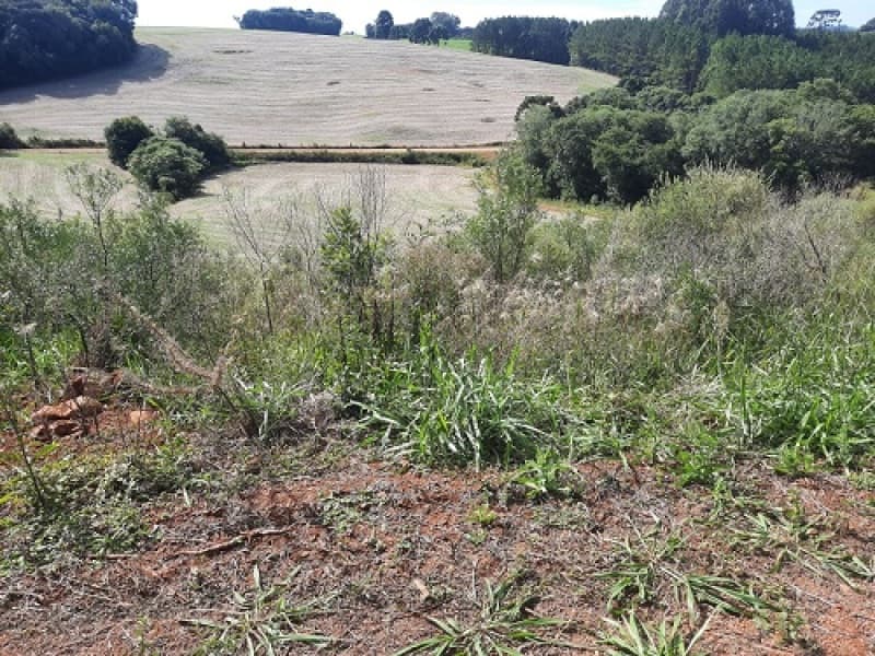 Foto 11 de 24: Imóvel em leilão em São José Do Ouro - RS — LOTE 001 Imóvel