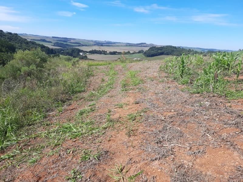 Foto 23 de 24: Imóvel em leilão em São José Do Ouro - RS — LOTE 001 Imóvel