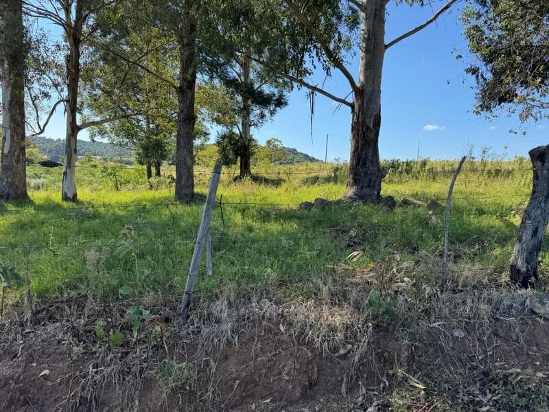 Foto 2 de 28: Imóvel em leilão em Ibirapuitã - RS — LOTE 001 Imóvel