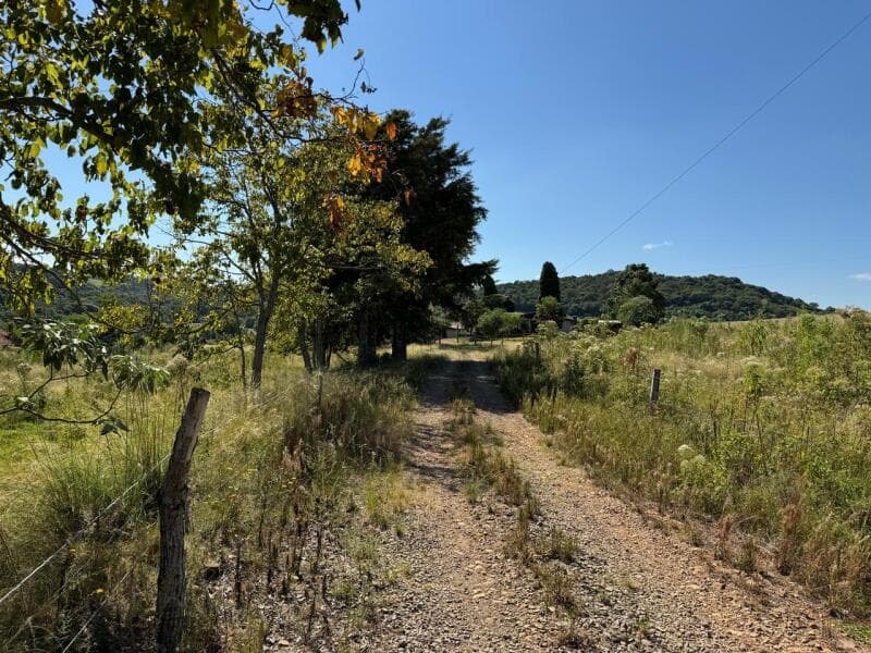 Foto 12 de 28: Imóvel em leilão em Ibirapuitã - RS — LOTE 001 Imóvel
