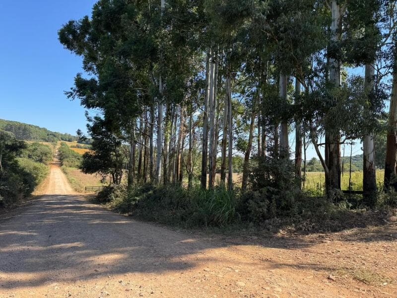 Foto 26 de 28: Imóvel em leilão em Ibirapuitã - RS — LOTE 001 Imóvel