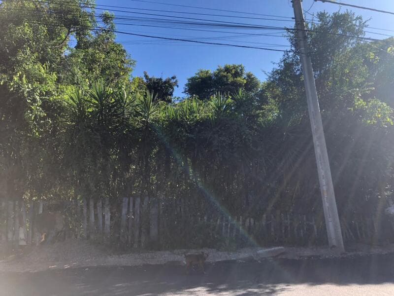 Foto 7 de 9: Terreno em leilão em Passo Fundo - RS — LOTE 001 imóvel