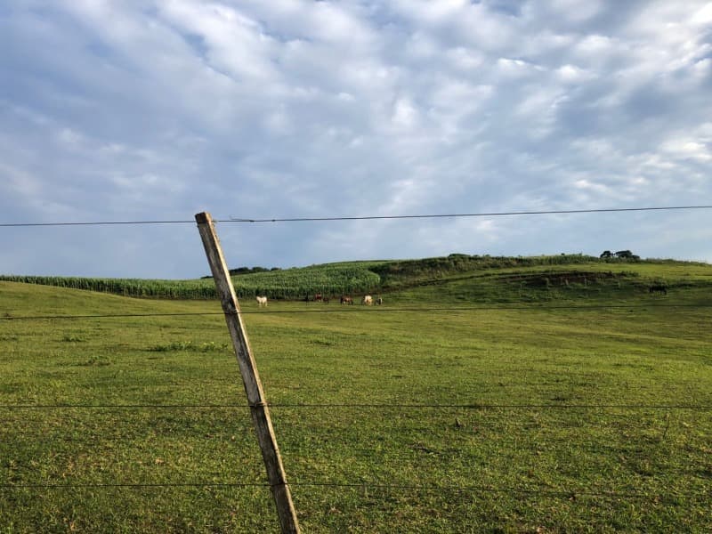 Foto 2 de 34: Area Rural em leilão em Ibiraiaras - RS — LOTE 001 Imóvel