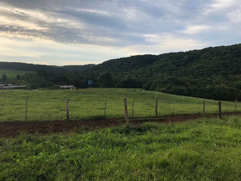 Foto 3 de 34: Area Rural em leilão em Ibiraiaras - RS — LOTE 001 Imóvel