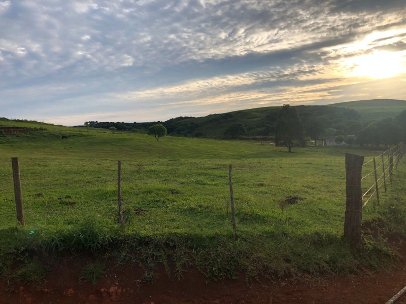 Foto 4 de 34: Area Rural em leilão em Ibiraiaras - RS — LOTE 001 Imóvel