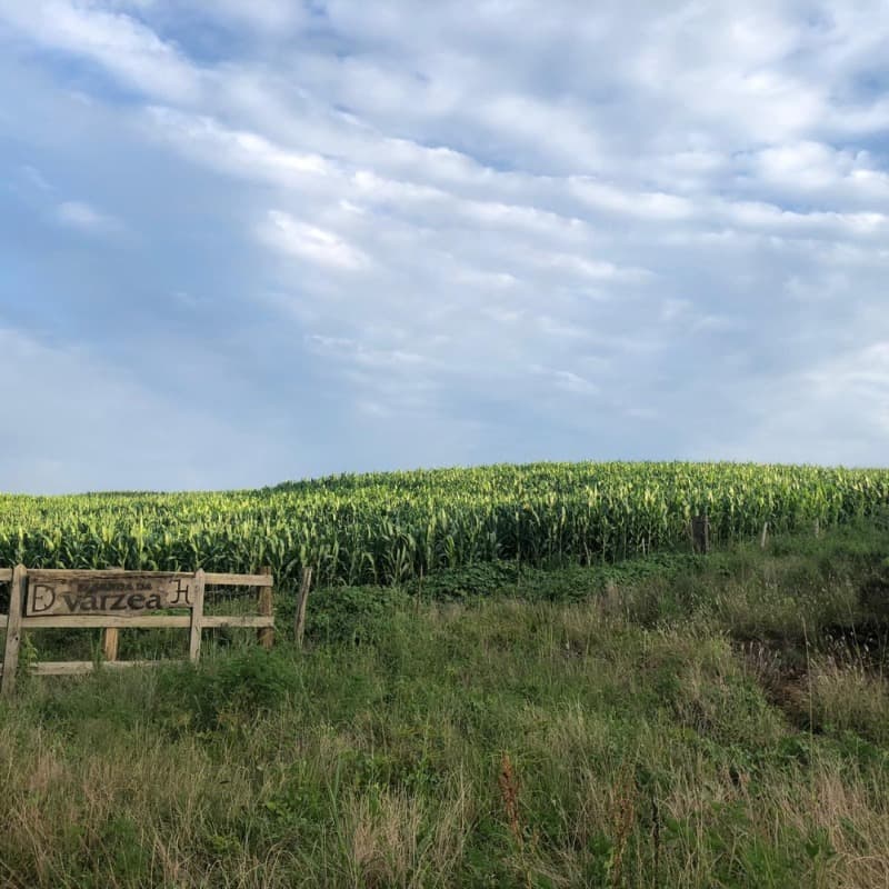 Foto 5 de 34: Area Rural em leilão em Ibiraiaras - RS — LOTE 001 Imóvel
