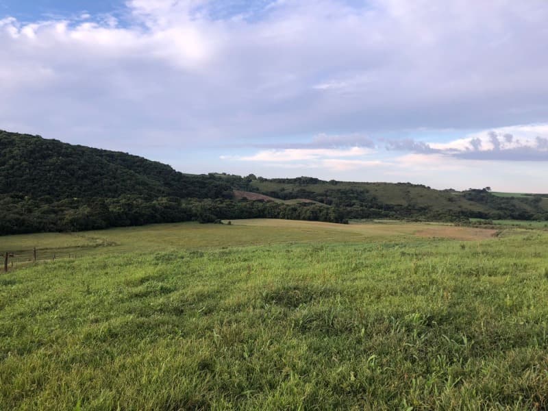 Foto 12 de 34: Area Rural em leilão em Ibiraiaras - RS — LOTE 001 Imóvel