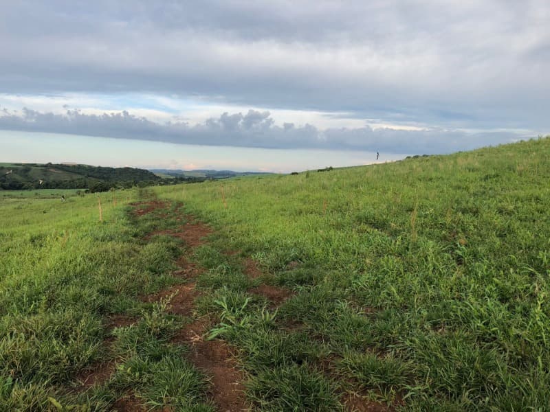 Foto 13 de 34: Area Rural em leilão em Ibiraiaras - RS — LOTE 001 Imóvel