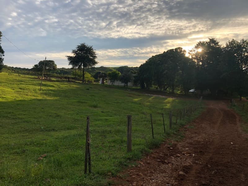 Foto 15 de 34: Area Rural em leilão em Ibiraiaras - RS — LOTE 001 Imóvel