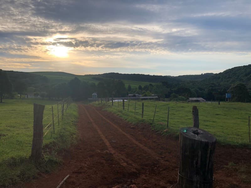 Foto 16 de 34: Area Rural em leilão em Ibiraiaras - RS — LOTE 001 Imóvel