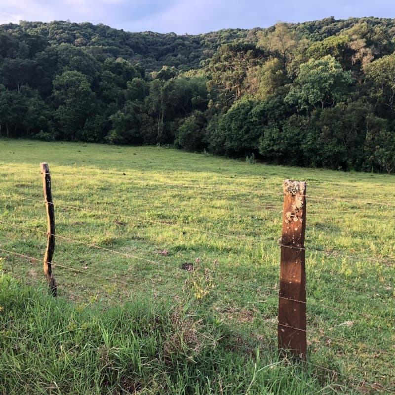 Foto 18 de 34: Area Rural em leilão em Ibiraiaras - RS — LOTE 001 Imóvel