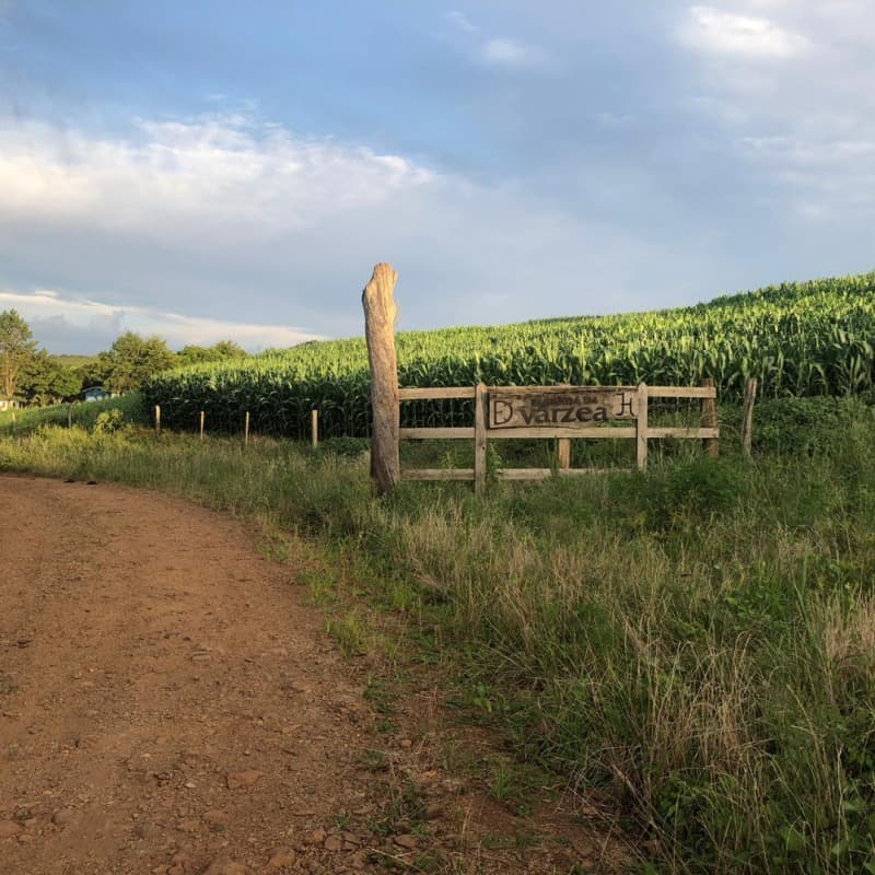 Foto 19 de 34: Area Rural em leilão em Ibiraiaras - RS — LOTE 001 Imóvel