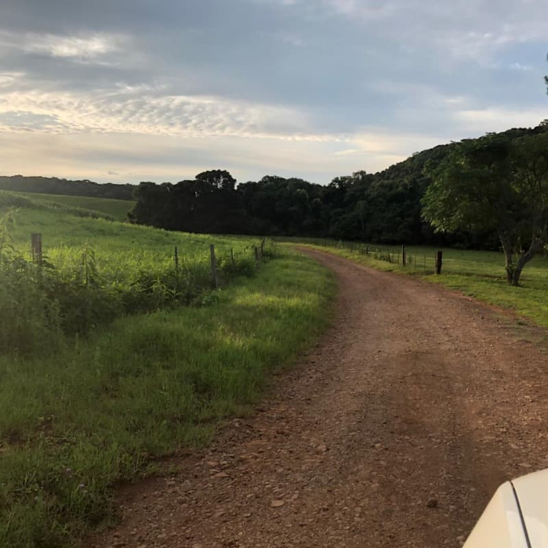 Foto 20 de 34: Area Rural em leilão em Ibiraiaras - RS — LOTE 001 Imóvel