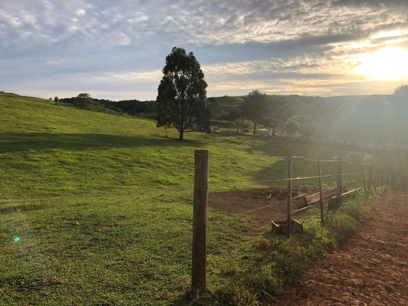 Foto 23 de 34: Area Rural em leilão em Ibiraiaras - RS — LOTE 001 Imóvel