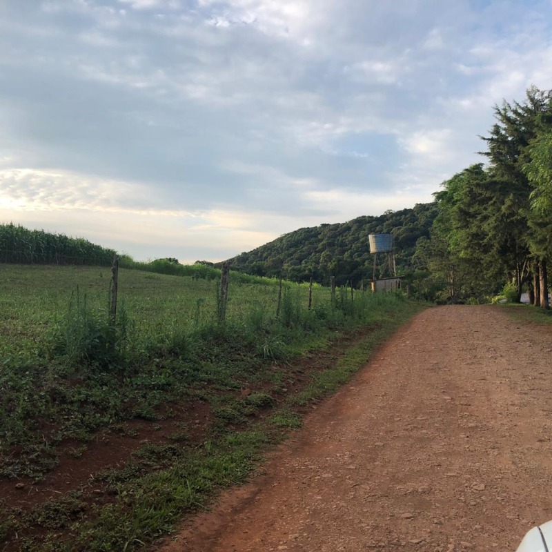 Foto 24 de 34: Area Rural em leilão em Ibiraiaras - RS — LOTE 001 Imóvel