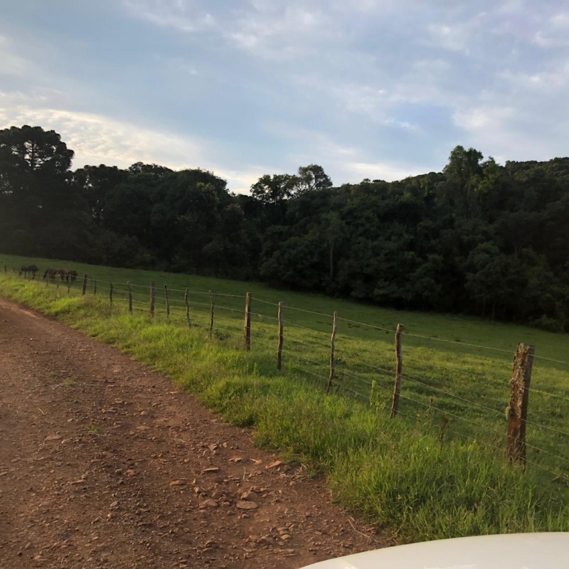 Foto 25 de 34: Area Rural em leilão em Ibiraiaras - RS — LOTE 001 Imóvel