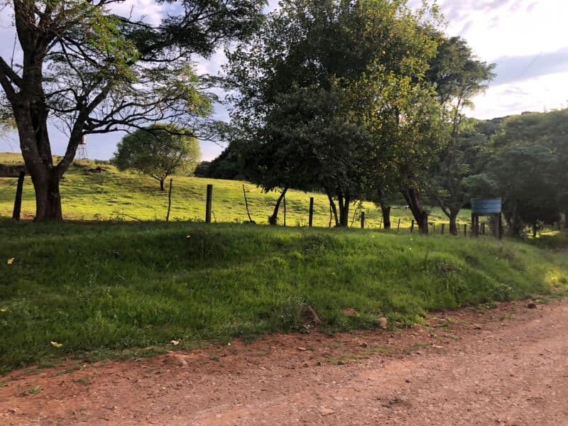 Foto 26 de 34: Area Rural em leilão em Ibiraiaras - RS — LOTE 001 Imóvel