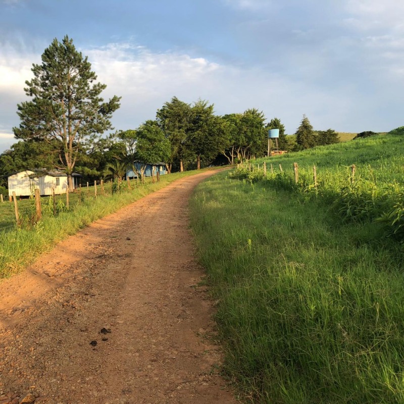 Foto 27 de 34: Area Rural em leilão em Ibiraiaras - RS — LOTE 001 Imóvel