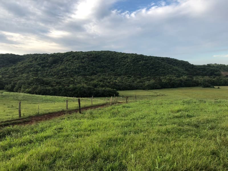 Foto 1 de 34: Area Rural em leilão em Ibiraiaras - RS — LOTE 001 Imóvel