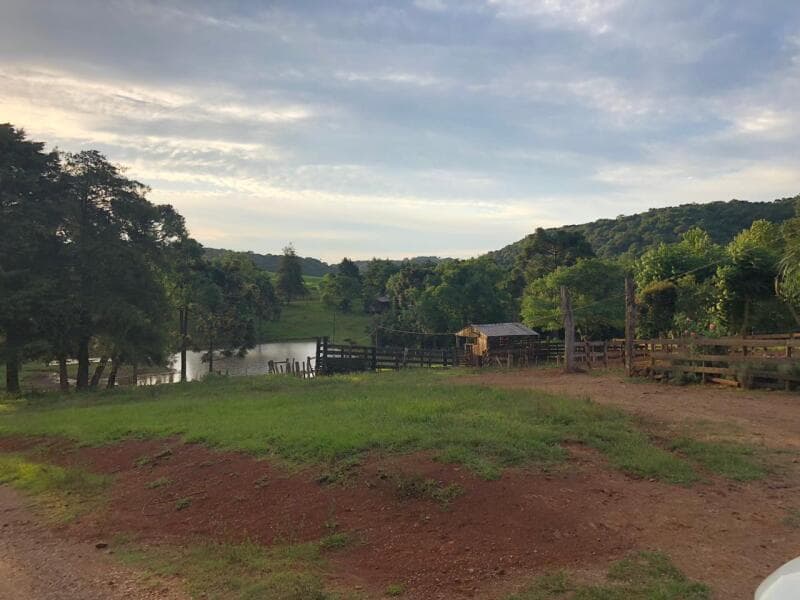 Foto 34 de 34: Area Rural em leilão em Ibiraiaras - RS — LOTE 001 Imóvel