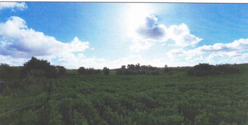 Foto 2 de 32: Imóvel em leilão em Lagoão - RS — LOTE 001 Imóvel