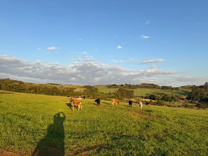Foto 10 de 32: Imóvel em leilão em Lagoão - RS — LOTE 001 Imóvel