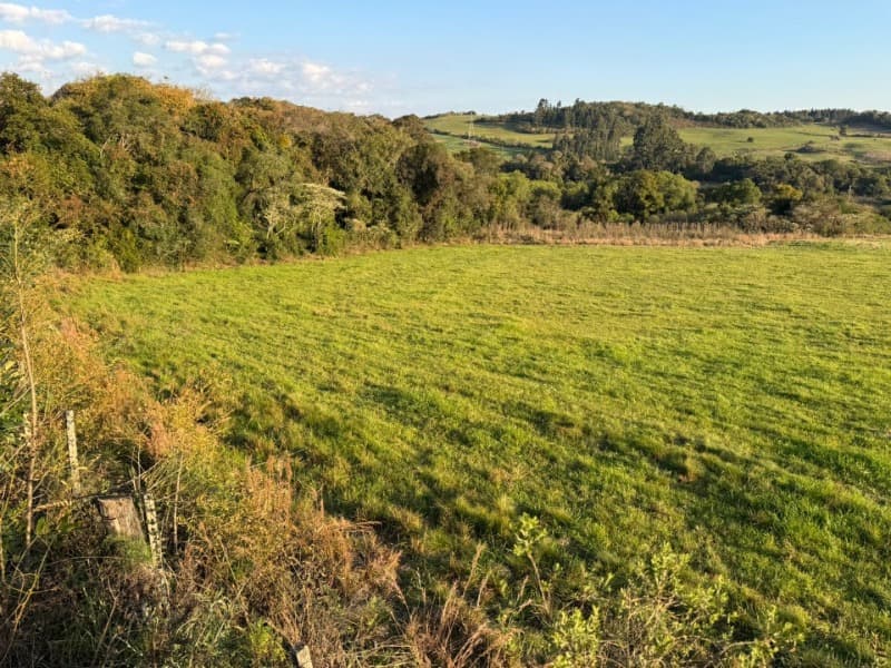 Foto 24 de 32: Imóvel em leilão em Lagoão - RS — LOTE 001 Imóvel