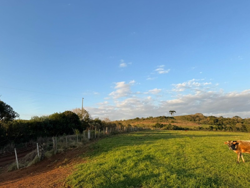 Foto 31 de 32: Imóvel em leilão em Lagoão - RS — LOTE 001 Imóvel