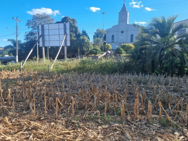 Foto 6 de 8: Imóvel em leilão em São Domingos Do Sul - RS — LOTE 001 Imóvel